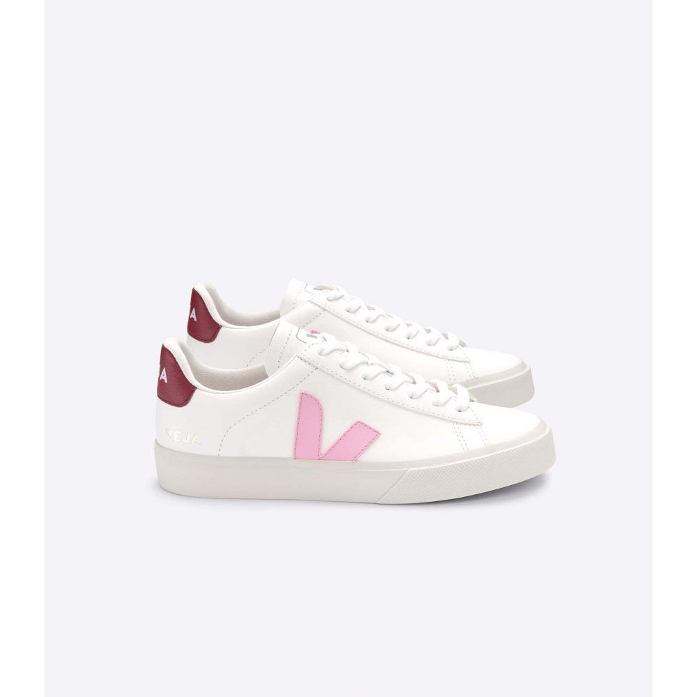 White/Pink Men\'s Veja CAMPO CHROMEFREE Low Tops Sneakers | AU 193WNB